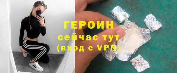 гашик Алексин