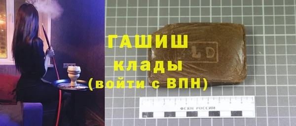 гашик Алексин