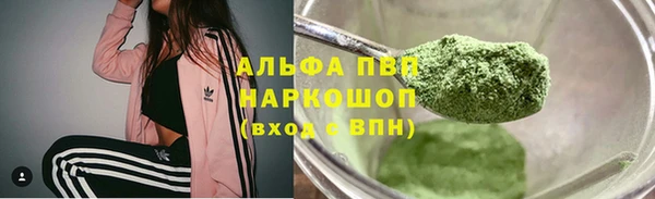 гашик Алексин
