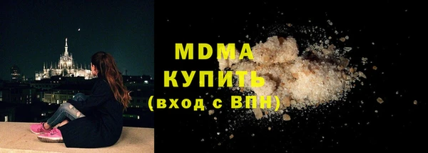 гашик Алексин