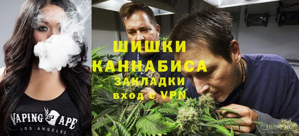соль ск Алзамай