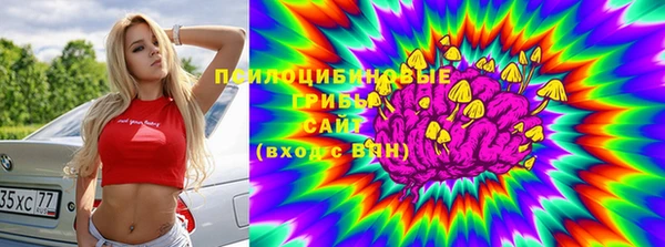 соль ск Алзамай