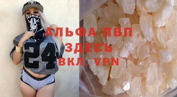 гашик Алексин