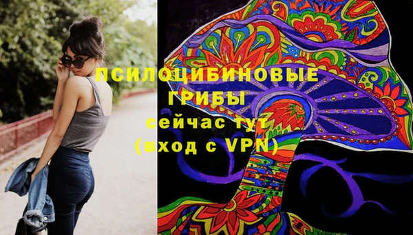 соль ск Алзамай