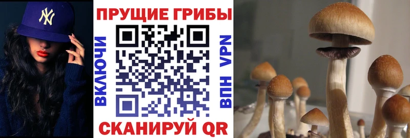 как найти наркотики  Опочка  MEGA вход  Галлюциногенные грибы Magic Shrooms 
