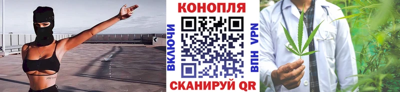 OMG ссылки  Опочка  Бошки марихуана план  купить  цена 